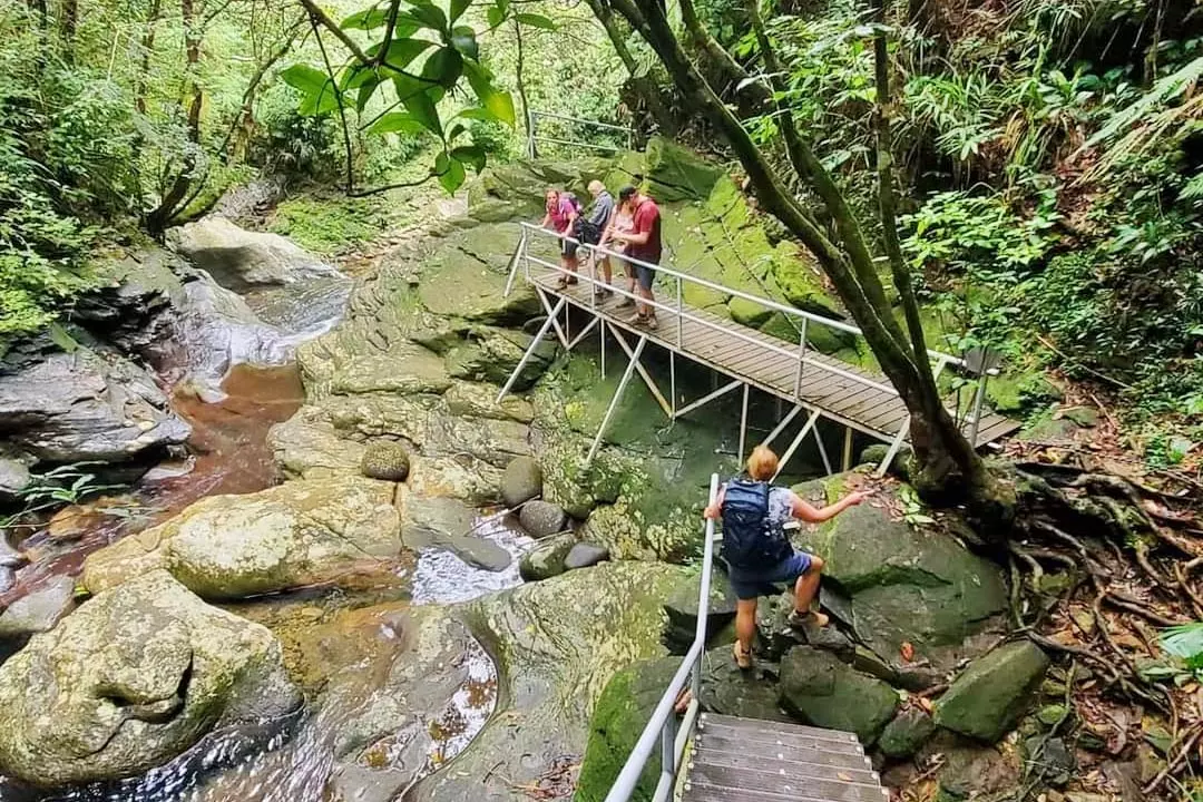 Tour Bạch Mã 1 ngày