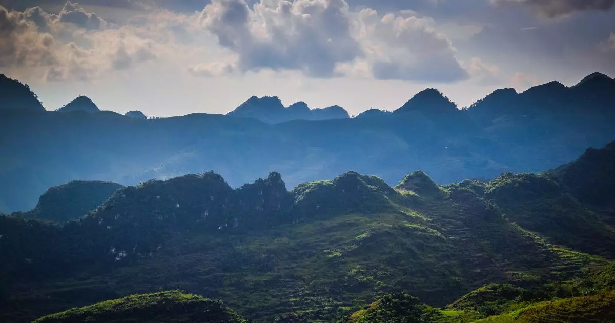 Cung đường hoa vàng trải dài trên vùng đất Tây Bắc