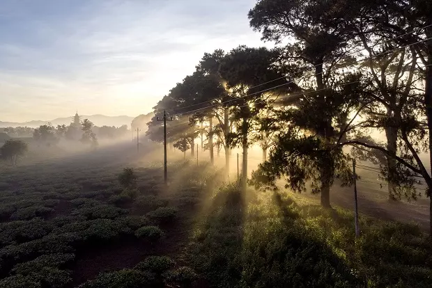 Khách sạn Pleiku