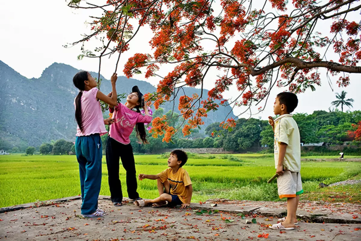 Tour du lịch tháng 6/2024