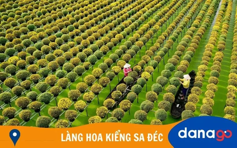 tour cần thơ 3 ngày từ đà nẵng