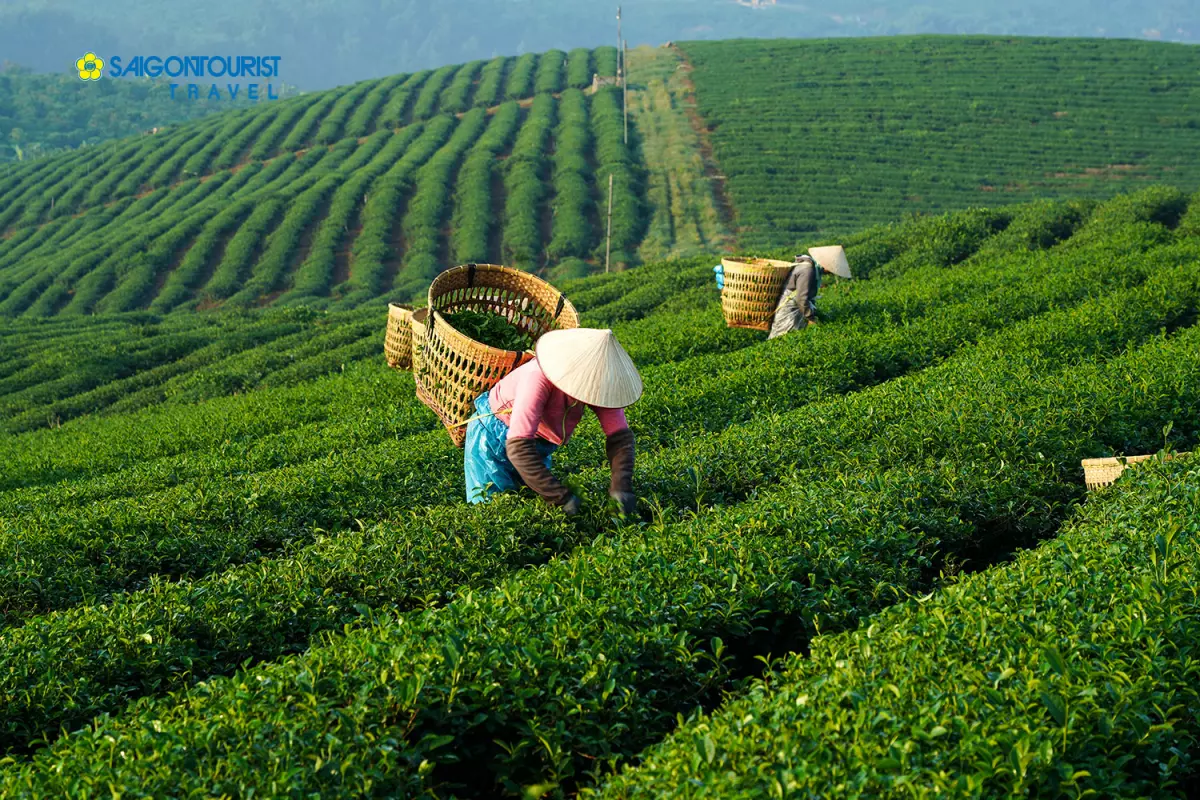 Du lịch Tây Bắc - Mai Châu - Mộc Châu