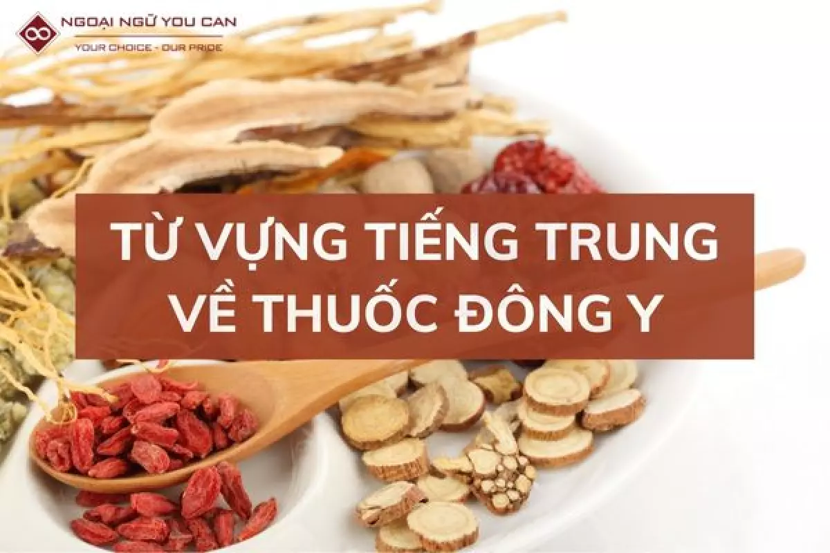 tieng trung ve thuoc dong y