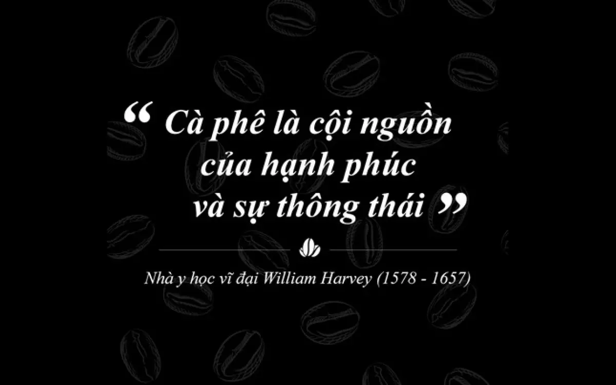 Buôn Ma Thuột và tầm nhìn Thành phố cà phê của thế giới ảnh 1