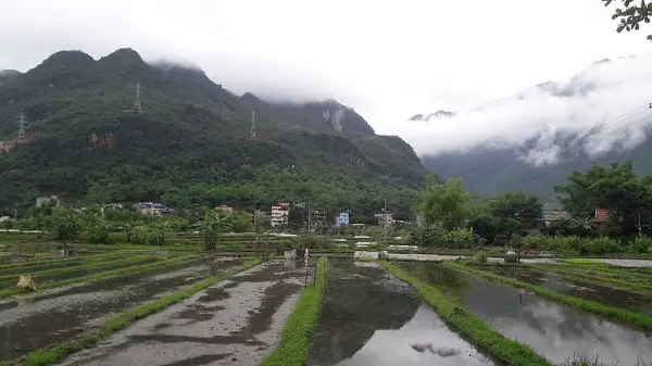 buoi-som-mai-chau