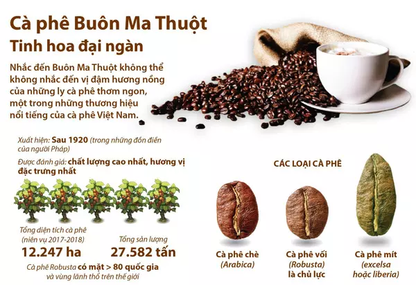 Cà phê đặc sản buôn mê thuột làm quà