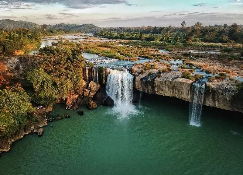 Nhẫn lông voi