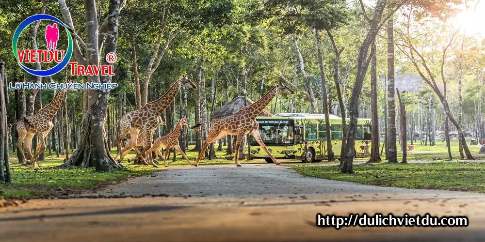 Sở thú Safari Phú Quốc