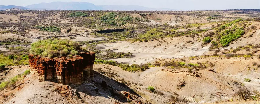 7 ngày trải nghiệm thế giới động vật hoang dã Tanzania khó quên