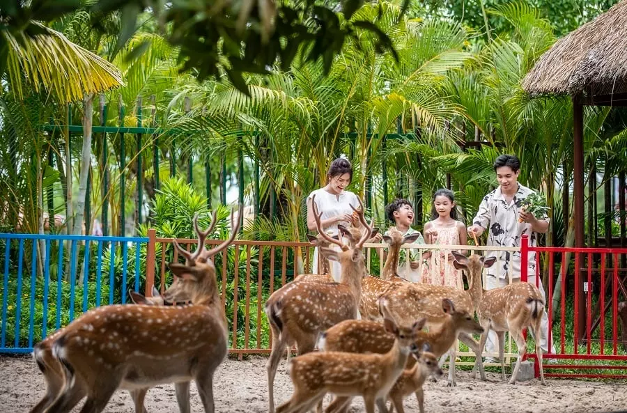 Du lịch Đà Nẵng cho gia đình