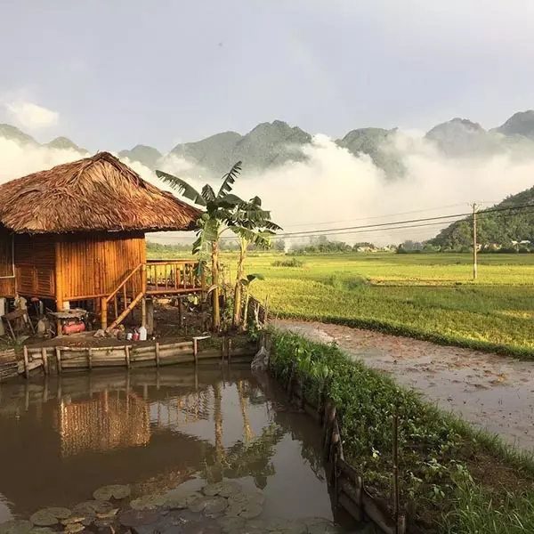 Check-in bản Nhót Mai Châu