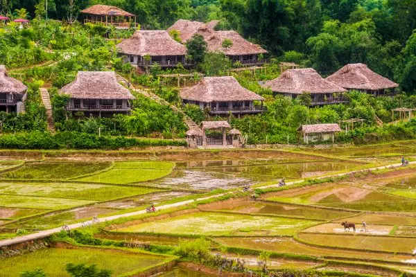 Mai Châu Ecolodge