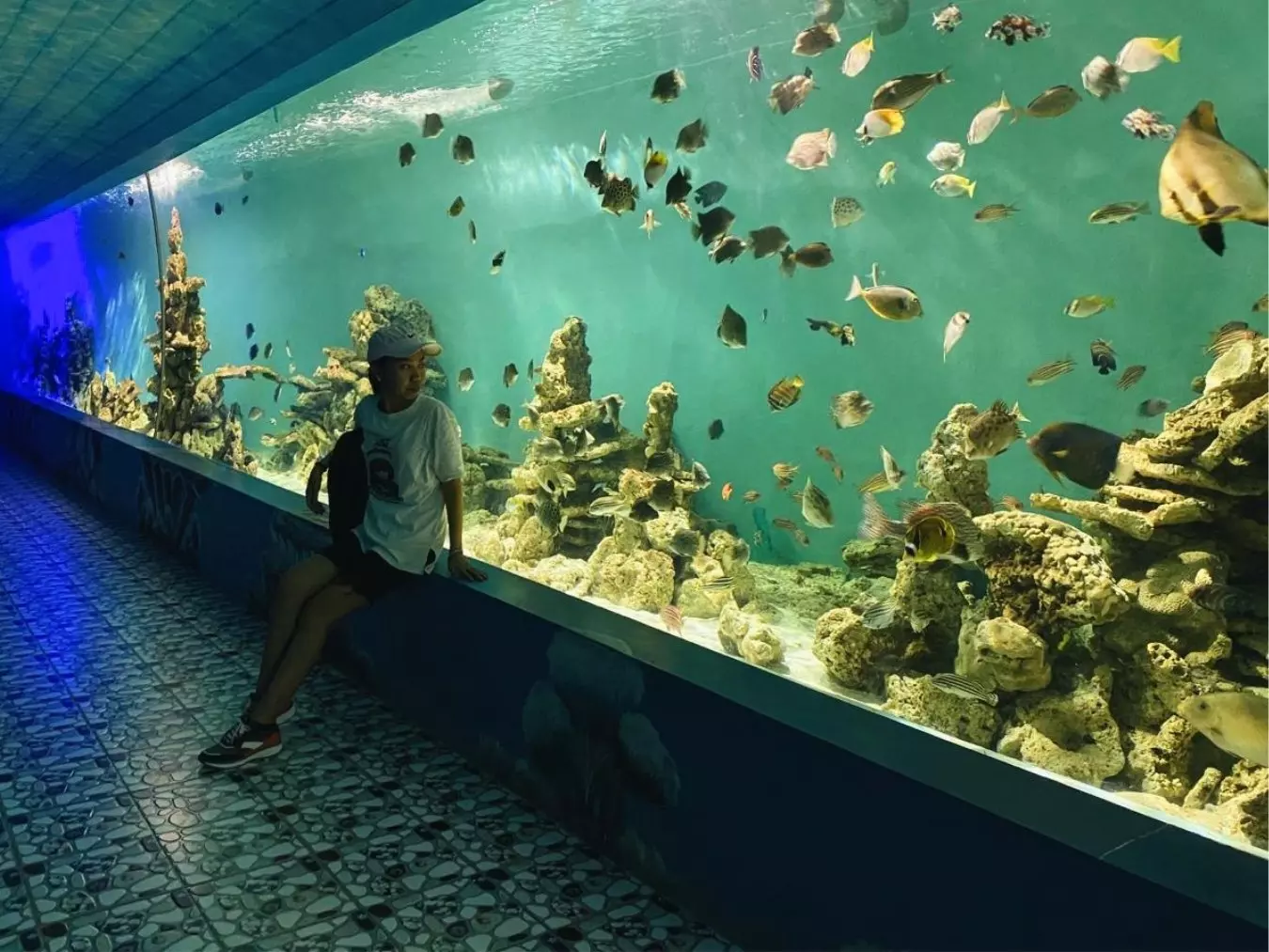 Bể nuôi sinh vật biểu với hệ thống Aquarium