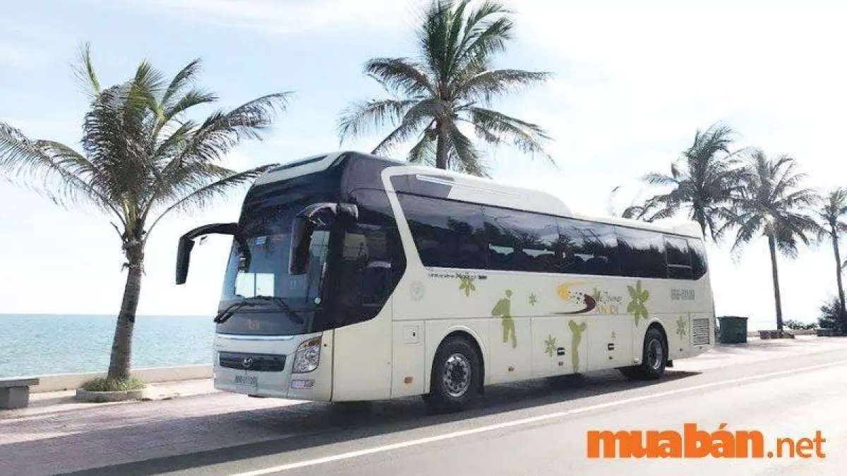 nhu cầu tuyển tài xế nha trang