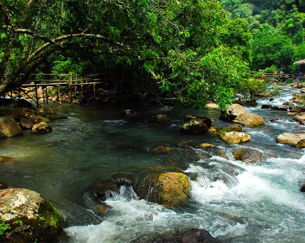 Ảnh: Mai Ngoc Tuy