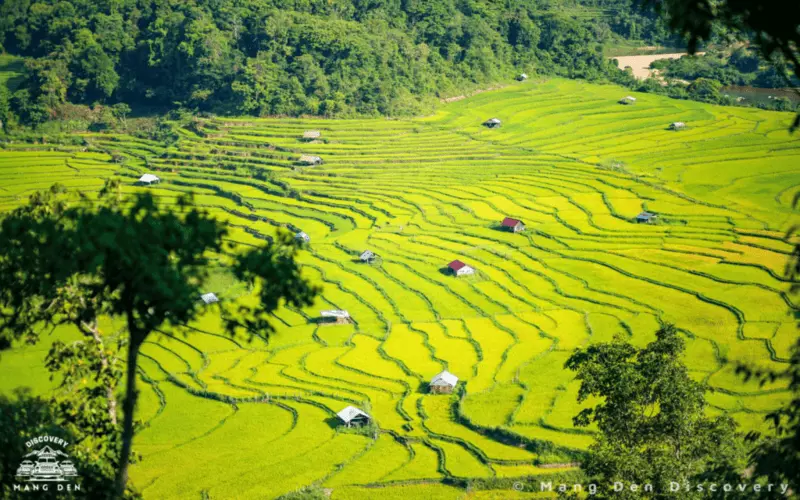 đi săn mây ở Măng Đen