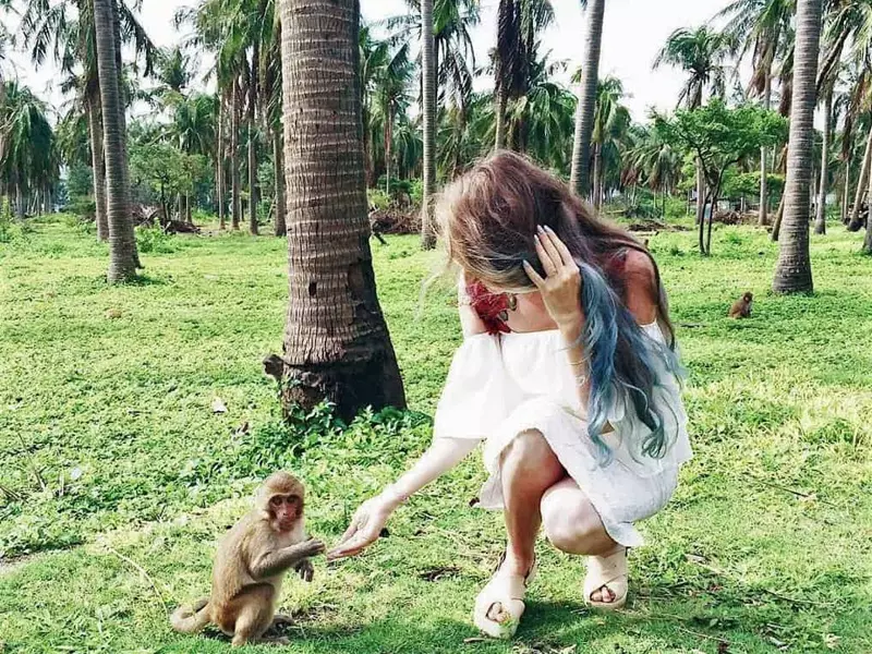 Đảo Khỉ Nha Trang - bầy khỉ với hơn 999