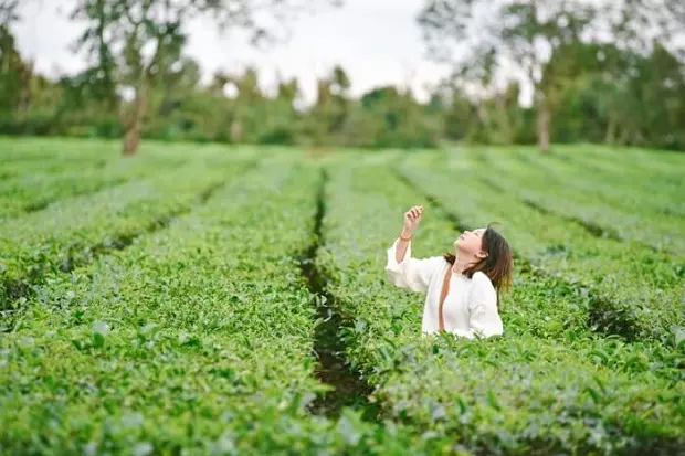 Danh sách những điểm du lịch không thể bỏ lỡ ở Pleiku