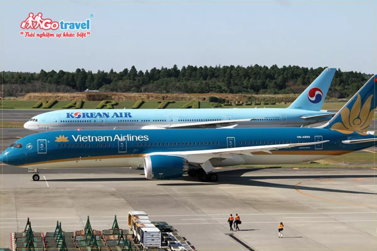 Các hãng hàng không khai thác chuyến bay đi Seoul Hàn Quốc gồm: Vietnam Airlines, Korean Air,...