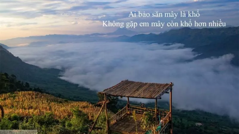 Trải nghiệm Hòa Bình