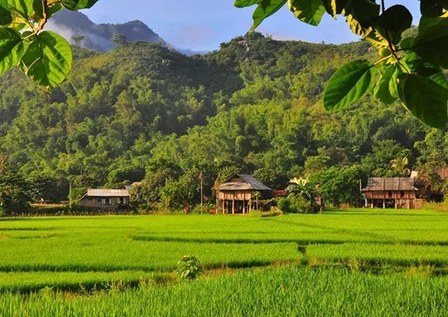 Lên Mai Châu mùa em thơm nếp xôi