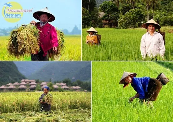 Mai Châu và tình người ấm áp