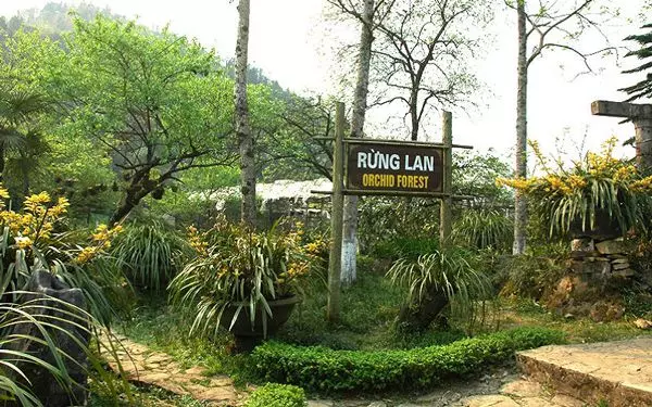 Thăm quan vườn Lan Đông Dương