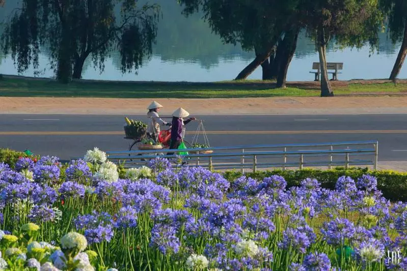 Tăng giá dịch vụ Tết ở Đà Lạt