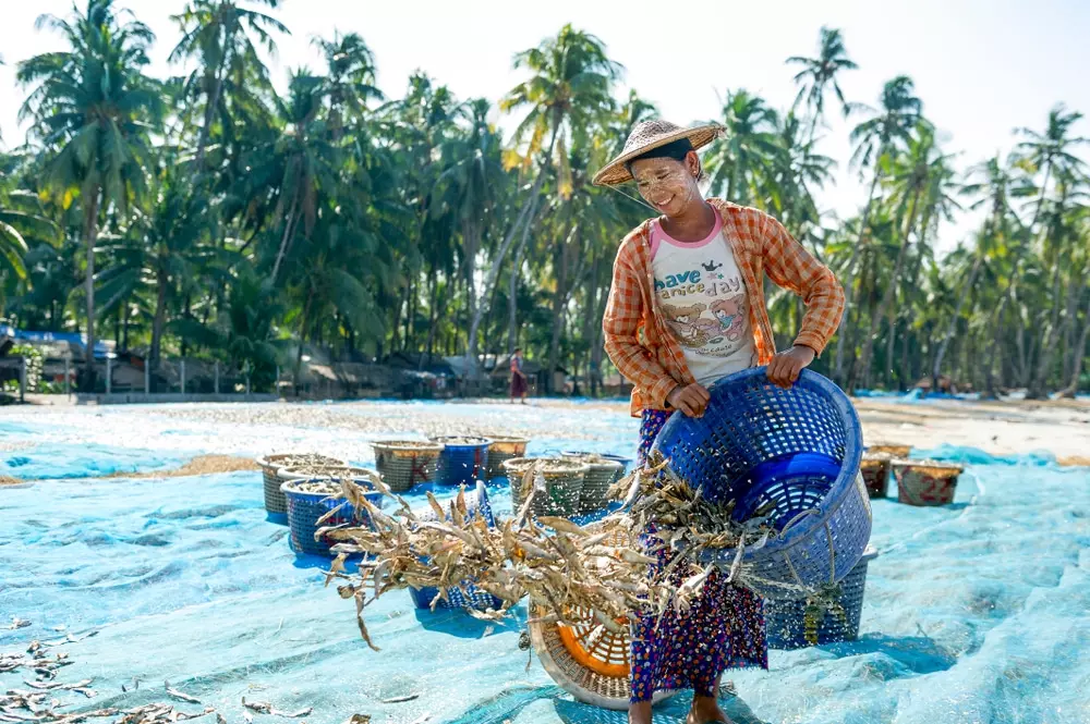 Đi bộ quanh Làng chài Jade Taw