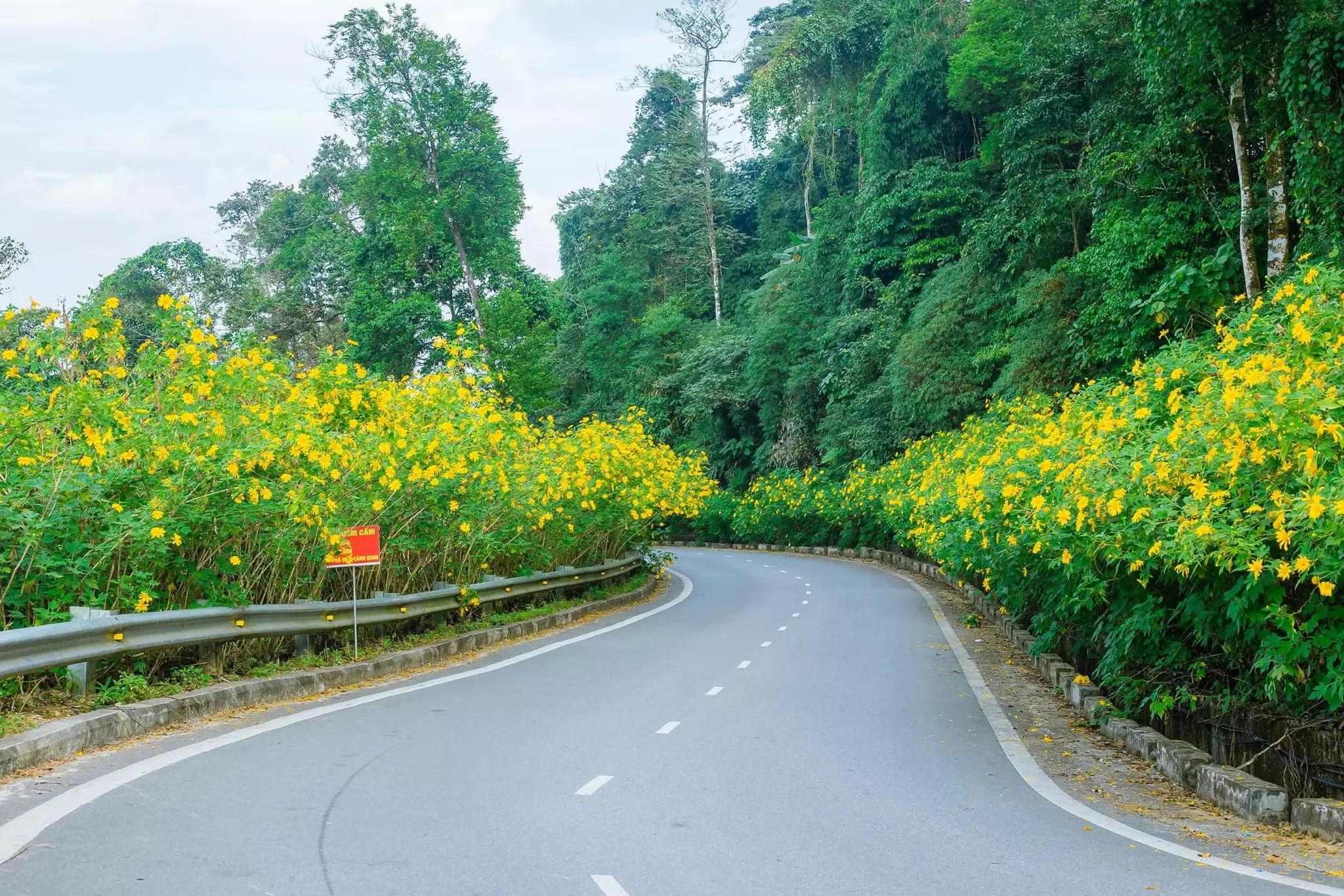 Du khách có thể sử dụng dịch vụ cắm trại để thư giãn bên người thân, bạn bè. Ảnh: Internet