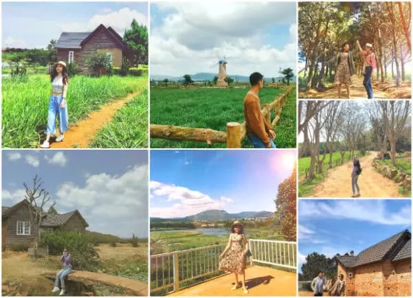 Đà Lạt Milk Farm - Muôn ngàn góc sống ảo