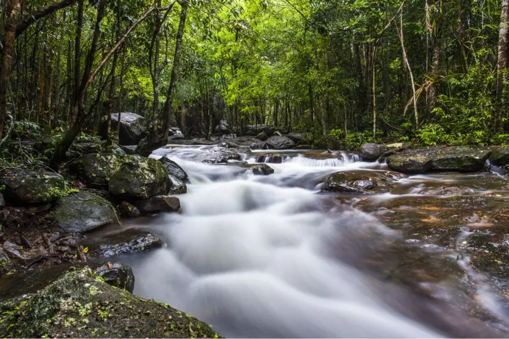 Làng chài Hàm Ninh với vẻ đẹp hoang sơ, thơ mộng