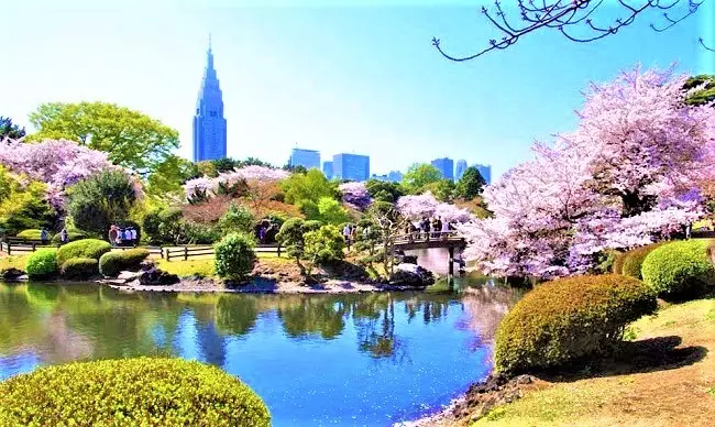 Công viên Ueno/Shinjuku Gyoen