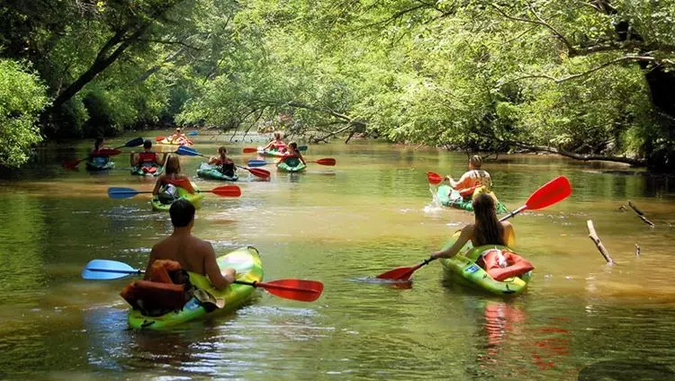 Trải nghiệm chèo thuyền kayak trên sông Cửa Cạn