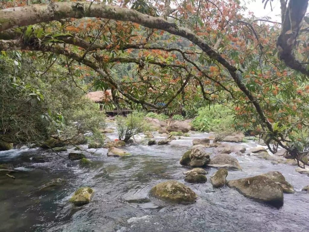 Bãi biển Đá Nhảy