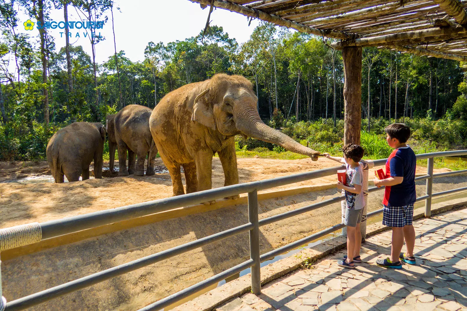 Vinpearl Safari Phú Quốc