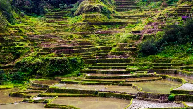 Ruộng bậc thang Banaue, một địa điểm du lịch ở Philippines