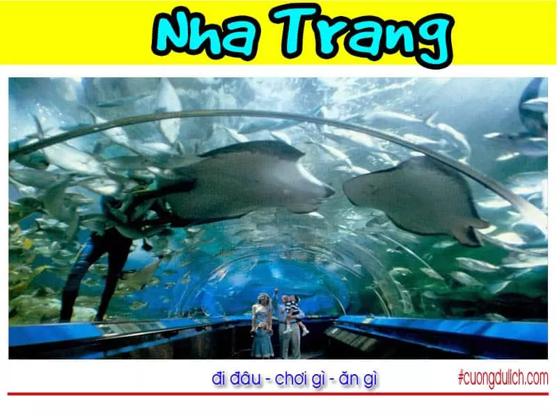 vien-hai-duong-hoc-nha-trang