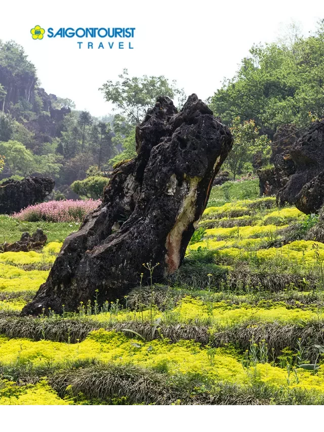   Tour Lào Cai - Sapa 3 ngày