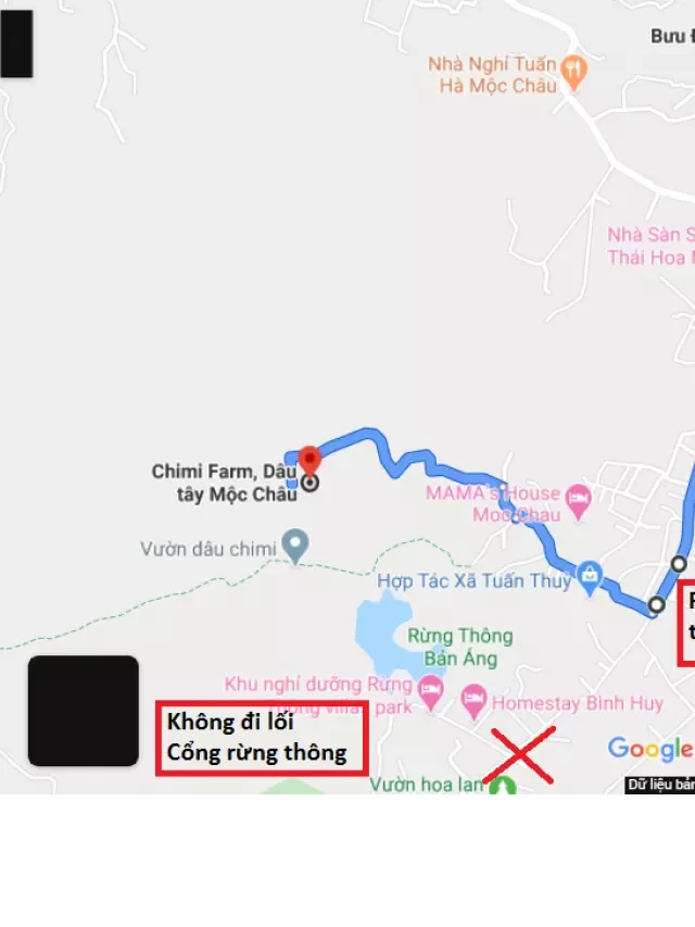   Mùa dâu tây chín Mộc Châu vào tháng mấy?