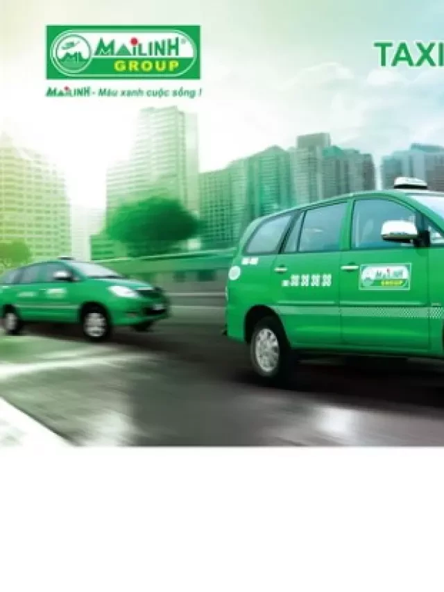   Taxi Mai Linh - Dịch vụ Taxi Chuyên Nghiệp và Uy Tín