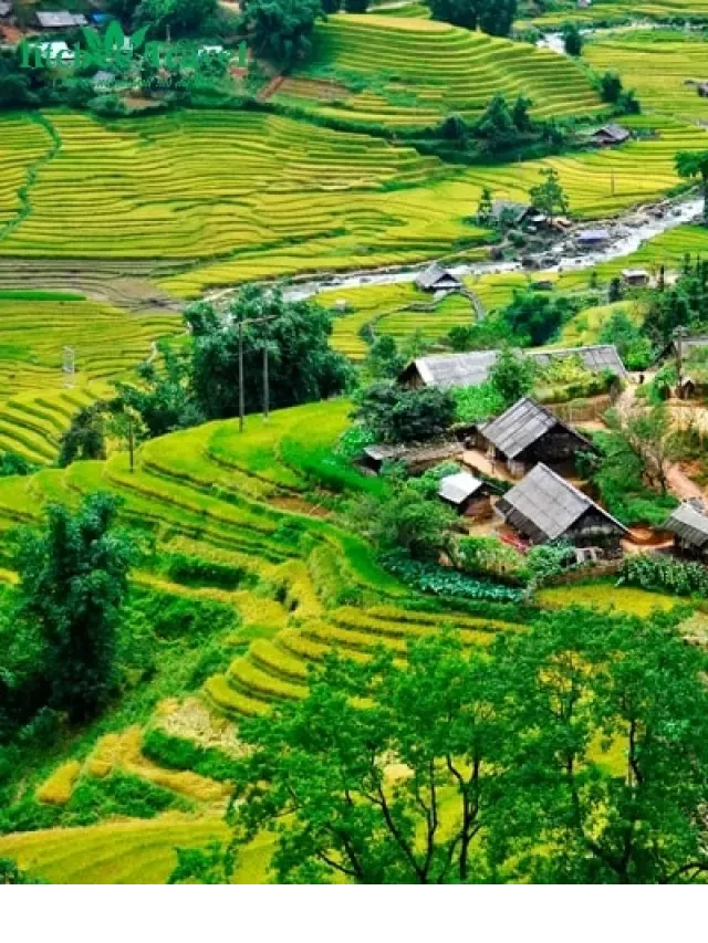   Tour Sapa 1 ngày | Khám Phá 4 Bản: Một Hành Trình Kỳ Thú