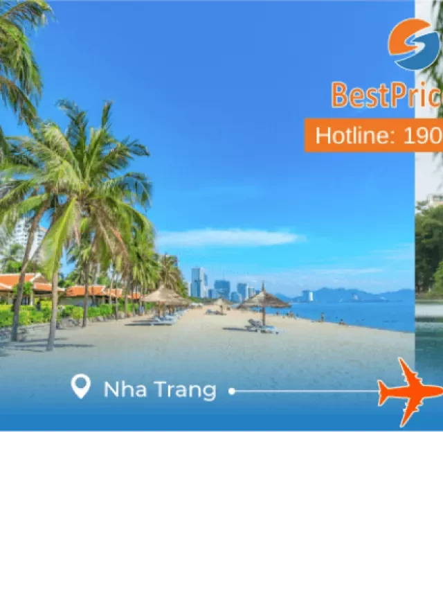   Vé máy bay Nha Trang đi Hà Nội - Hành trình không thể bỏ qua