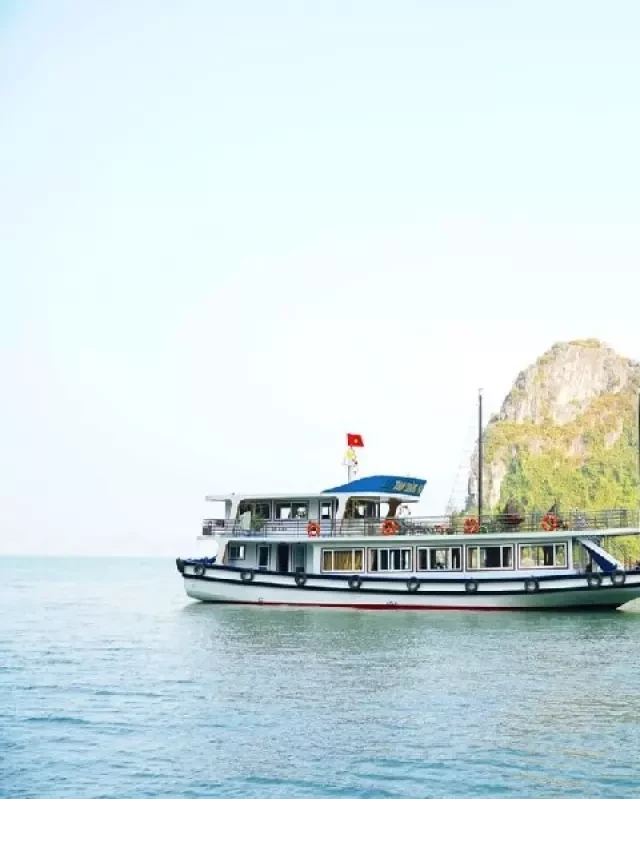   Bảng giá thuê tàu thăm vịnh Hạ Long: Các loại tàu &amp; chương trình tour 4H, 6H, 8H