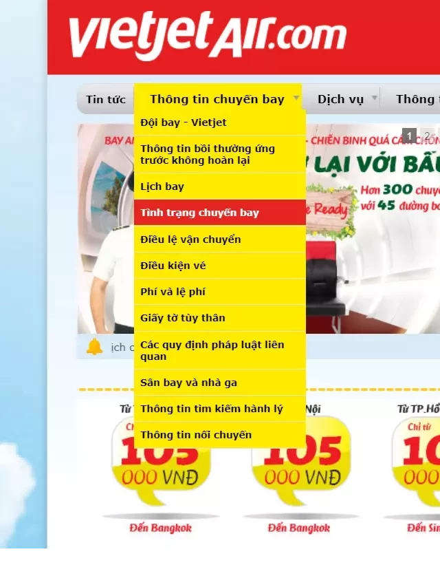   Tra cứu giờ hạ cánh, thông tin chuyến bay hãng Vietjet Air