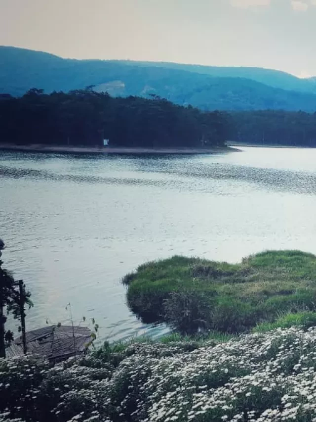   Happy Hill Đà Lạt - Thiên đường sống ảo tại Đà Lạt