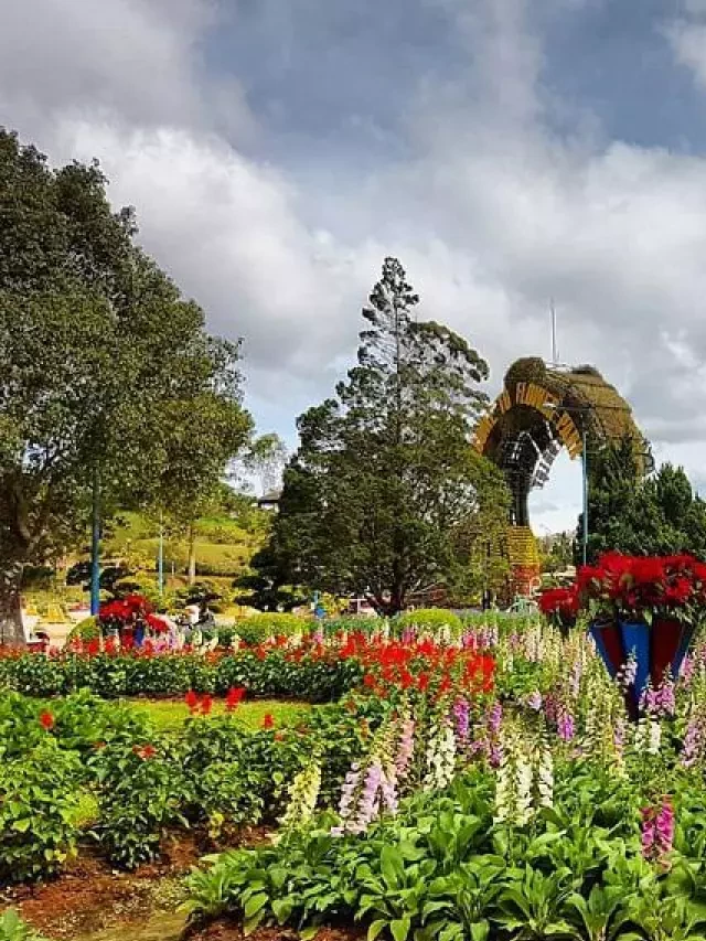   TOUR ĐÀ LẠT - NHA TRANG: Khám phá 4 ngày 3 đêm tuyệt vời