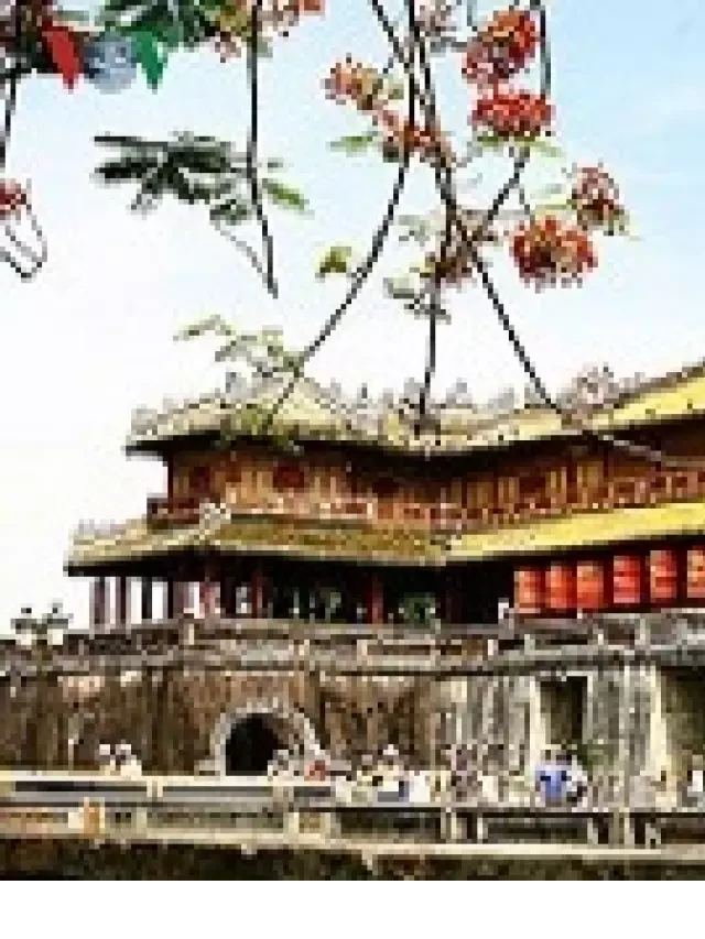   Tour Huế Lăng Cô Hội An: Khám phá những điểm đến tuyệt vời