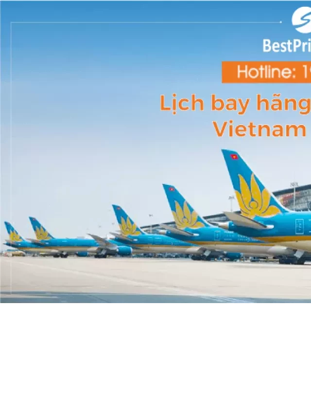   Lịch bay Vietnam Airlines 2024: Điểm danh các chặng bay nội địa và quốc tế