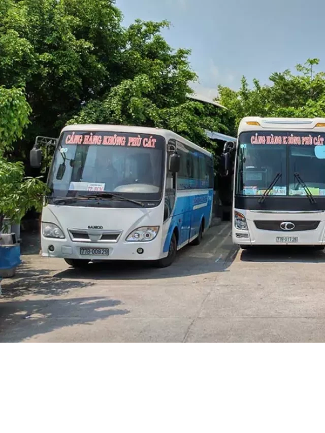   Xe Bus Quy Nhơn Đi Sân Bay Phù Cát: Khám Phá Quy Nhơn Một Lần Trong Đời